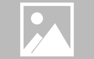 新野早安书单视频制作网站（播放有书早安美文）