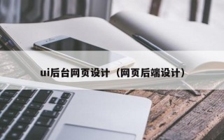 新野ui后台网页设计（网页后端设计）