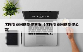 新野沈阳专业网站制作方案（沈阳专业网站制作公司）